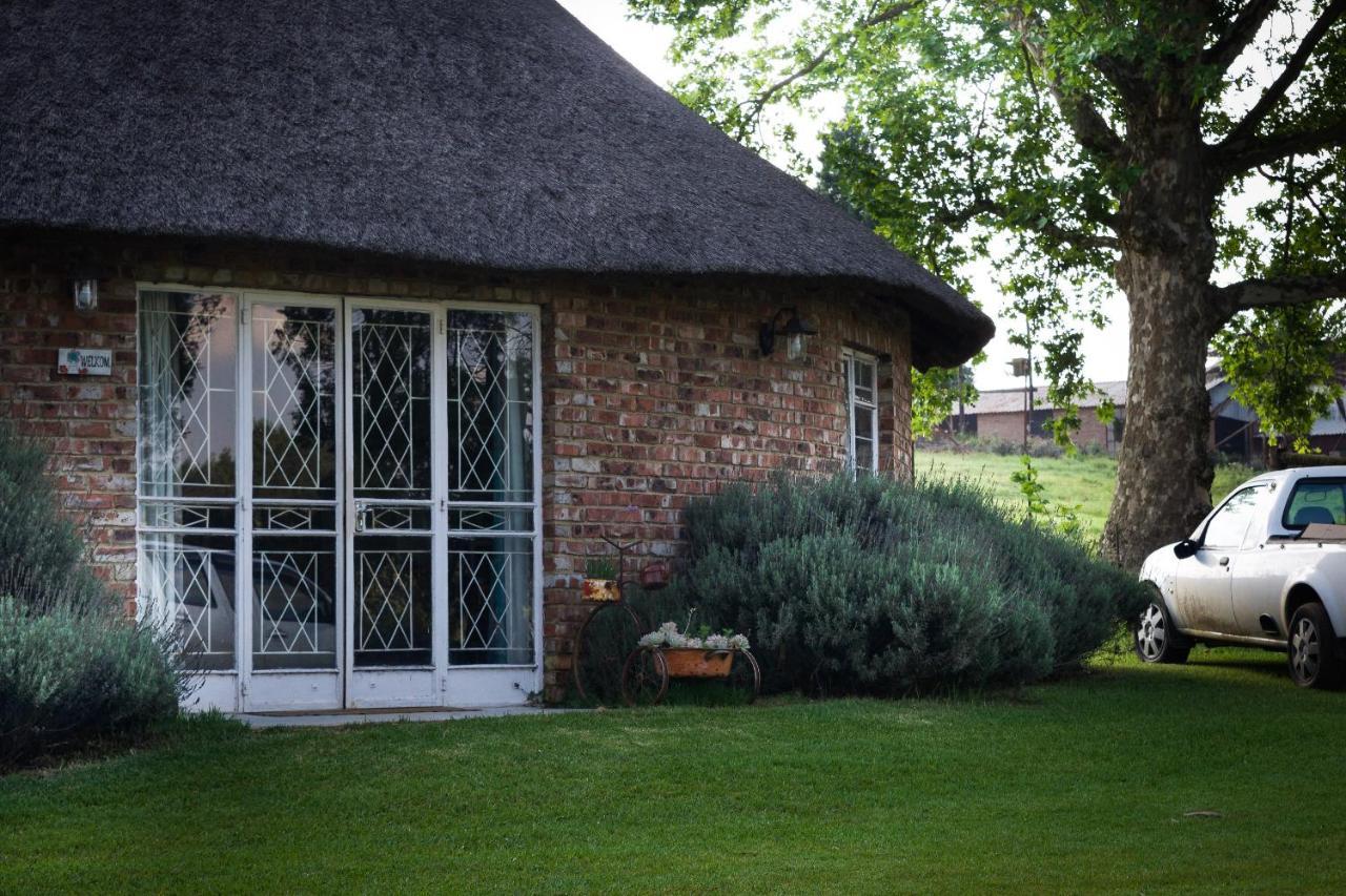 Suikerbosskuur Rondavel & Chalet Amsterdam Extérieur photo